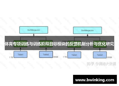 体育专项训练与训练阶段目标模块的反馈机制分析与优化研究